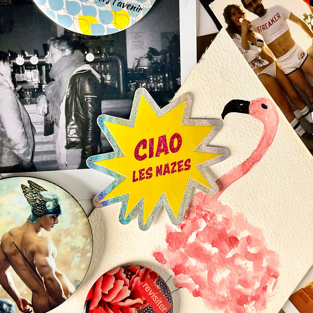 Stickers « Ciao les nazes »